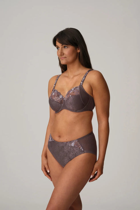 PrimaDonna Mohala Full Briefs